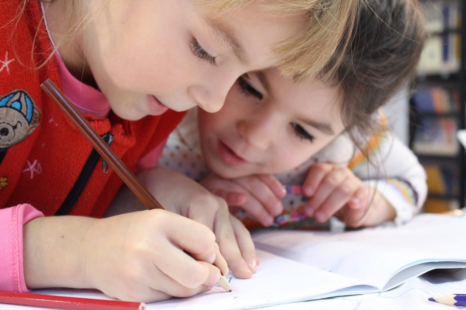 AD: Polish School in Seattle Looks for Teachers