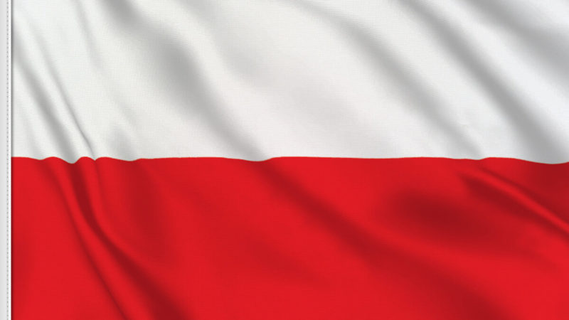 Polish Summer Courses in Seattle