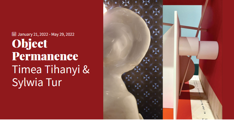 Sylwia Tur Exhibition and Tour at the Bellevue Arts Museum