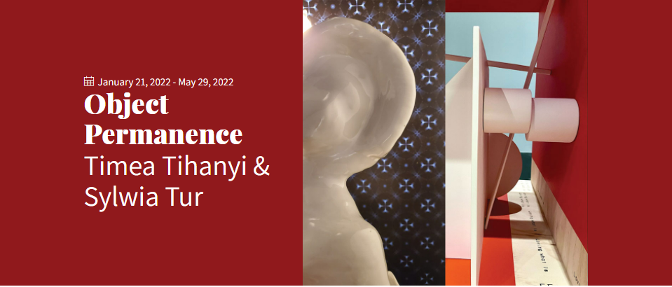 Sylwia Tur Exhibition and Tour at the Bellevue Arts Museum