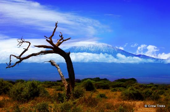 AD: Last Call to Book a 2023 Kilimanjaro Trip