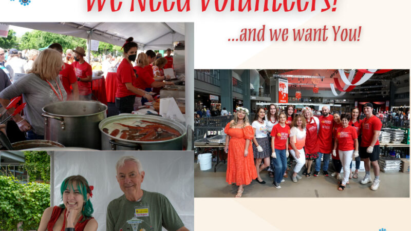 Polish Festival Seattle Needs Volunteers!
