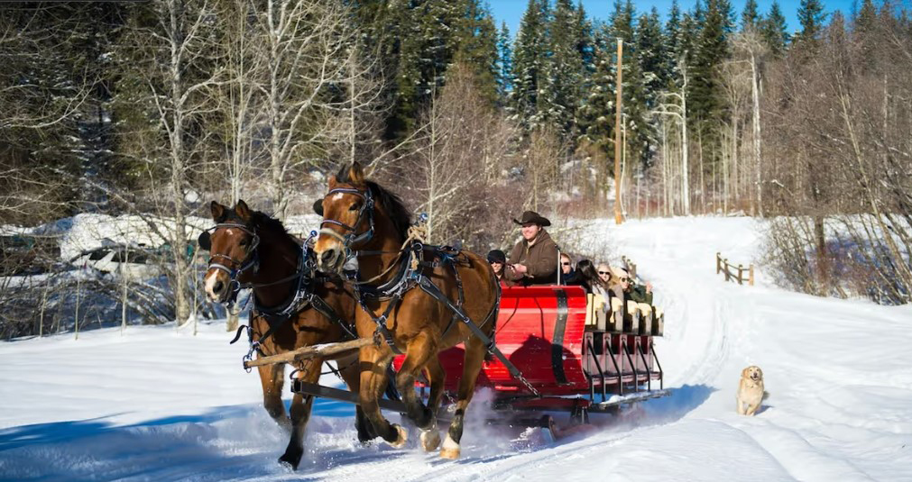 “Kulig” Winter Sleigh Ride in Leavenworth