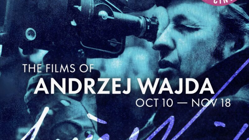 October is the Polish Movies Month
