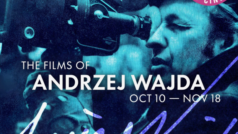 The Films of Andrzej Wajda